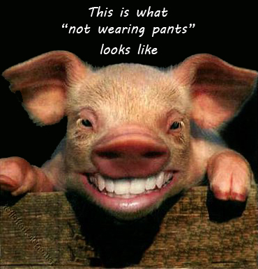 Smiling Pig